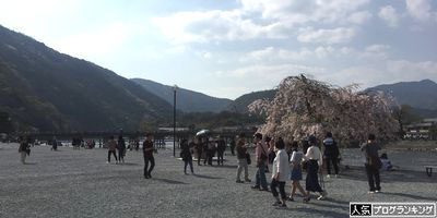嵐山　渡月橋　桜