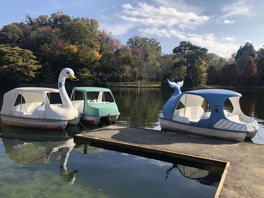 奈良県生駒市　くろんど池自然公園　キャンプ場　ボート