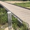 京都府八幡市　流れ橋(上津屋橋)